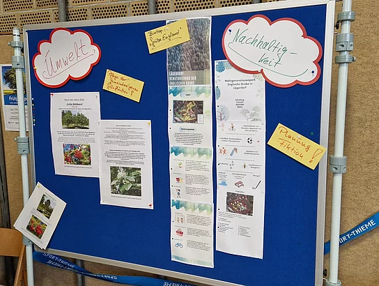 aus der Arbeit des Umweltausschusses