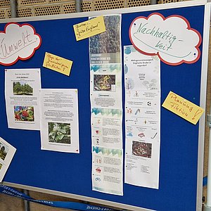 aus der Arbeit des Umweltausschusses